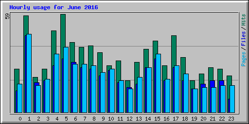 Hourly usage for June 2016