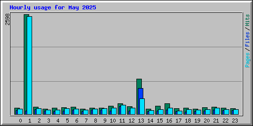 Hourly usage for May 2025